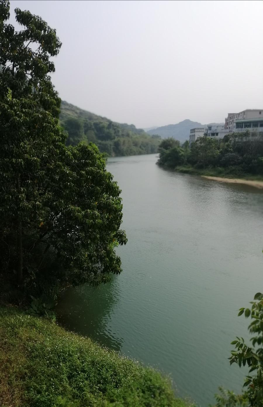 江城子 . 忆泉风（凤凰山下雨初晴格）文/江冲（图3）