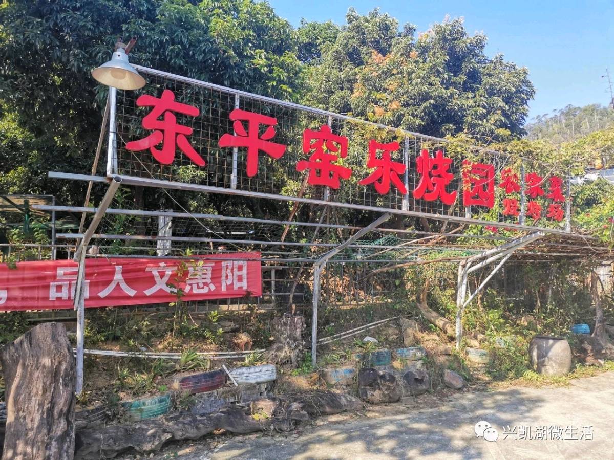 【新闻】惠州丰湖文化名家余小伦讲述惠州青白瓷历史脉络和发展探索/惠报全媒体记者侯县军/王 夫（图9）