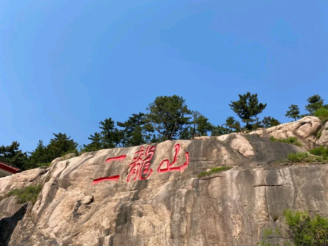🌳 最美生态散文集欣赏🌳《树下无言》厚朴