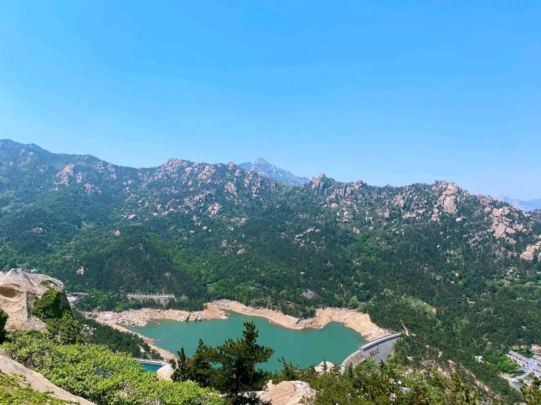 🌳 最美生态散文集欣赏🌳《树下无言》厚朴（图2）