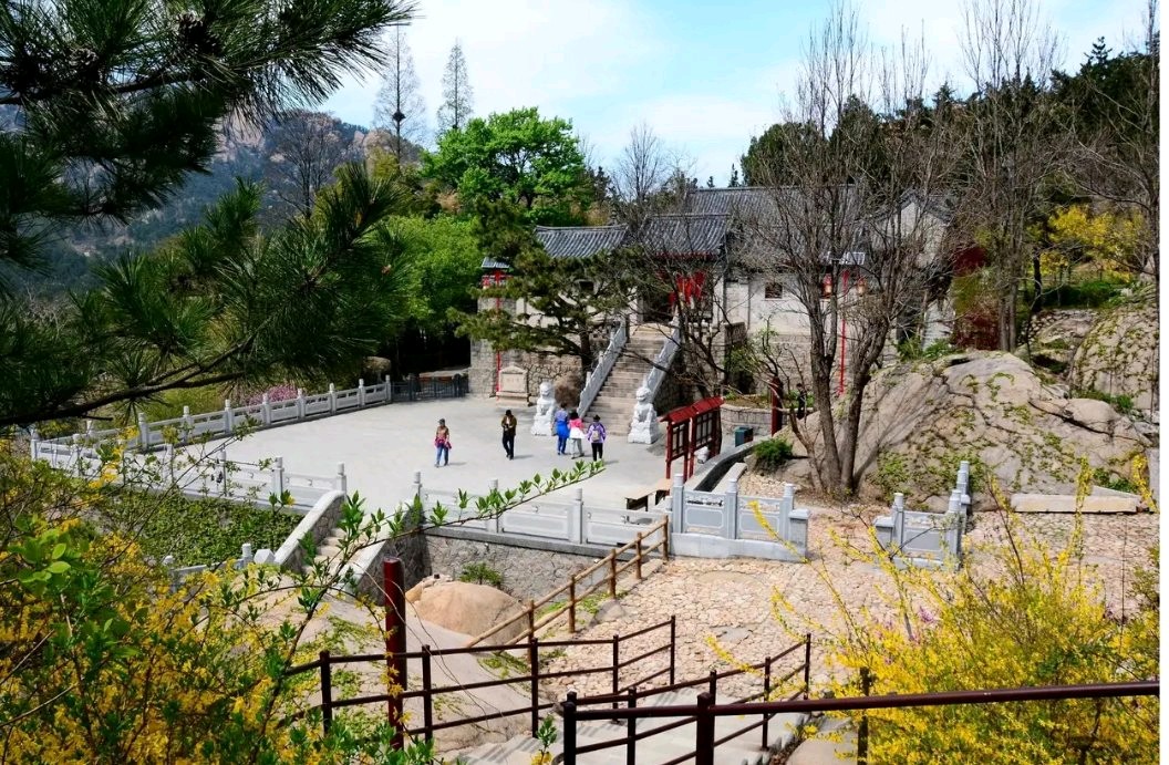 🌳 最美生态散文集欣赏🌳《树下无言》厚朴（图12）