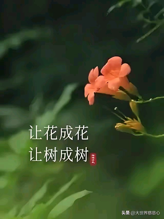 【5686】张光山诗作《老师不是神》（图2）