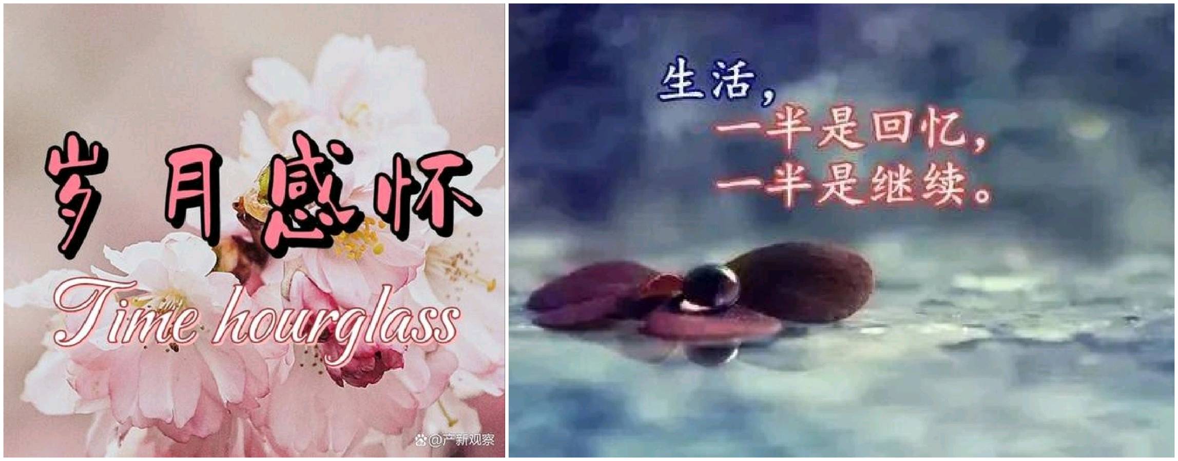 【新年放歌】鲁坡//七律•年末随记[元旦寄怀]（图3）