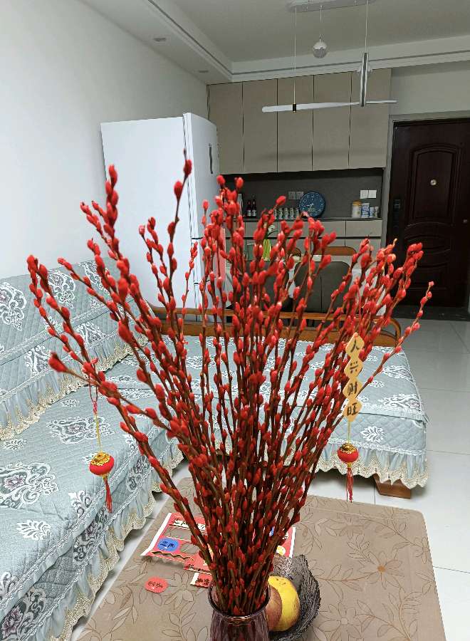 新年银柳请我家 原作/梁立锋（图6）