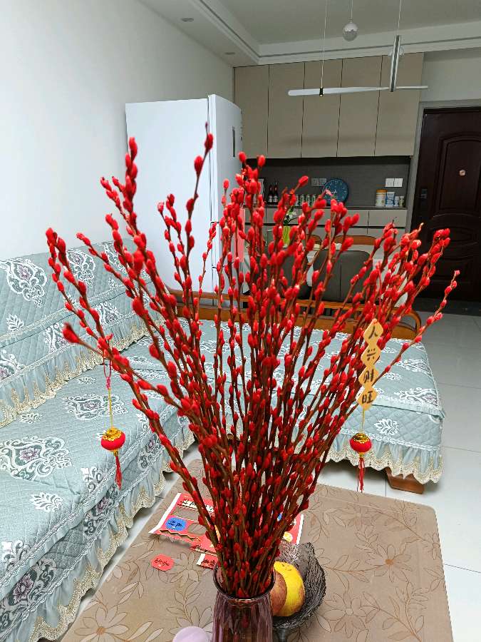 新年银柳请我家 原作/梁立锋（图7）