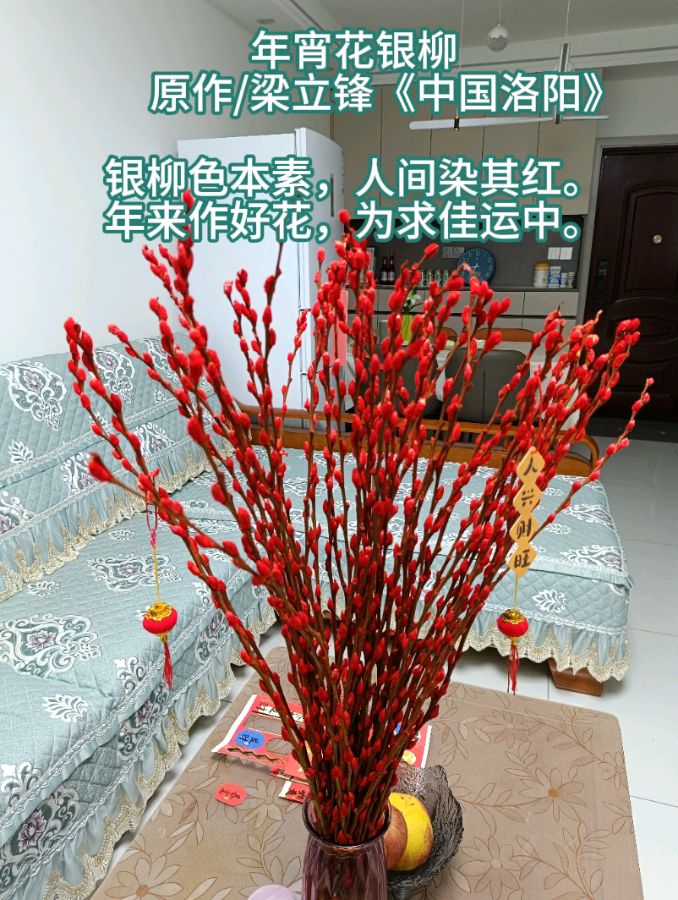 年宵花银柳 原作/梁立锋