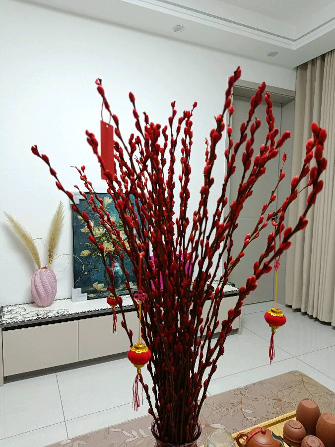 年宵花银柳 原作/梁立锋（图2）