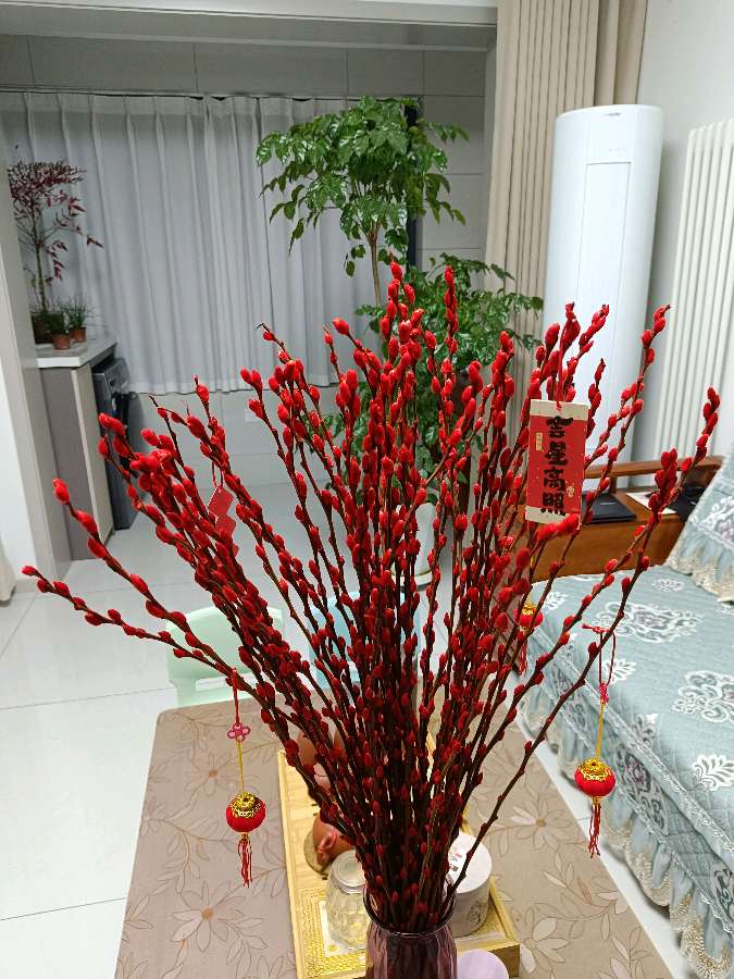 年宵花银柳 原作/梁立锋（图4）