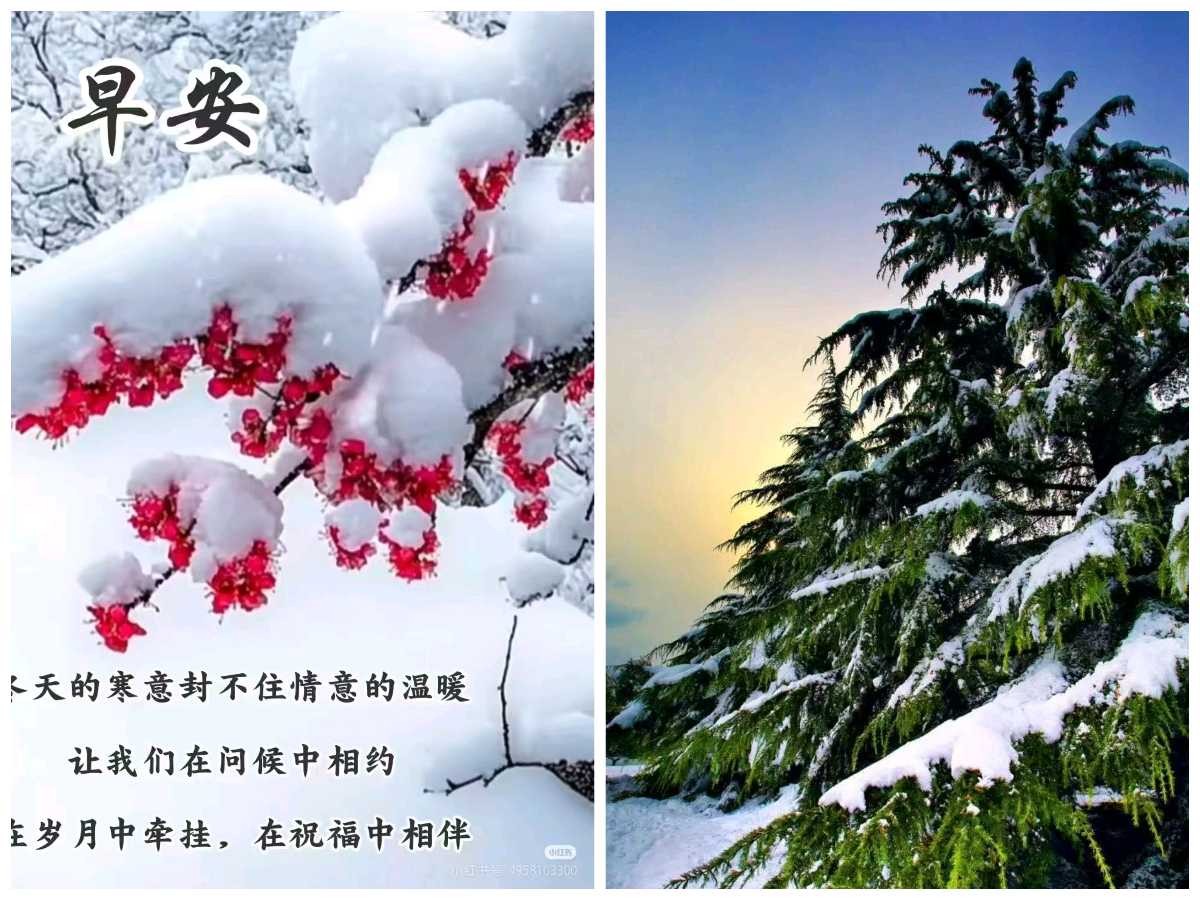 【新年放歌】鲁坡//七律•年末随记[元旦寄怀]（图9）
