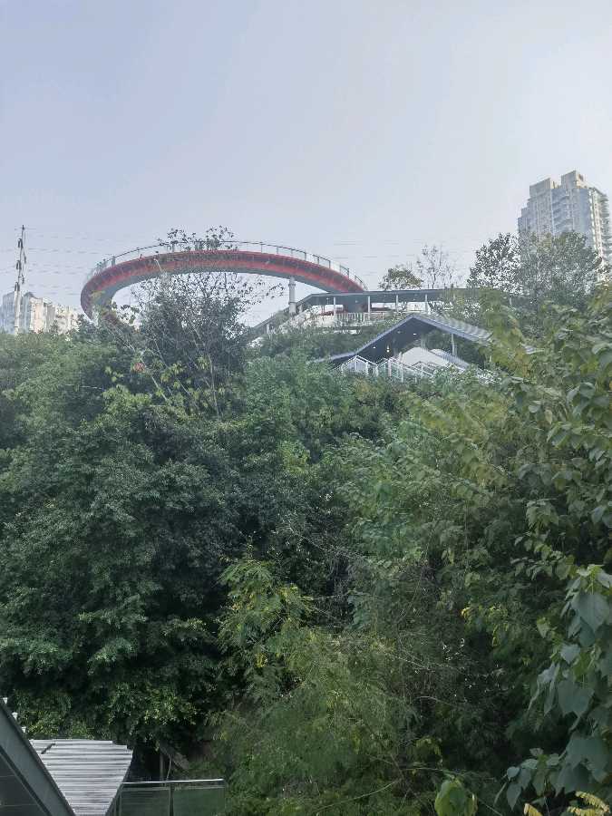 「游记散文」元旦打卡“铜元之光”（图29）
