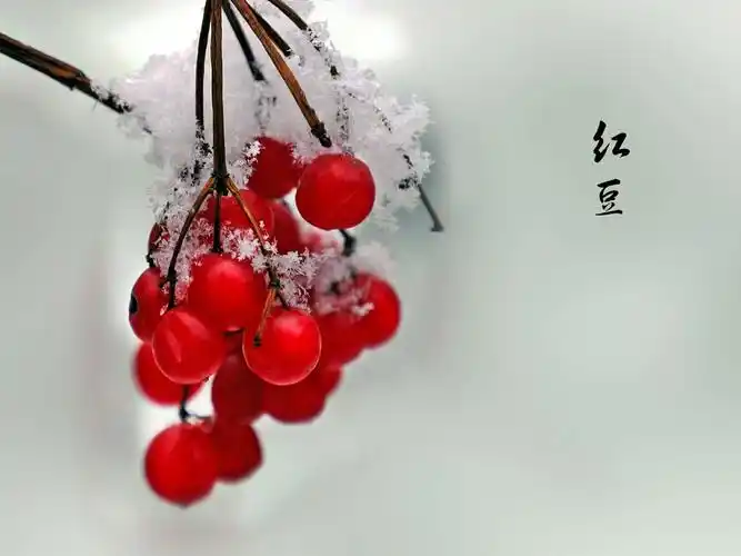 【上海文学社】微型诗专栏193 期