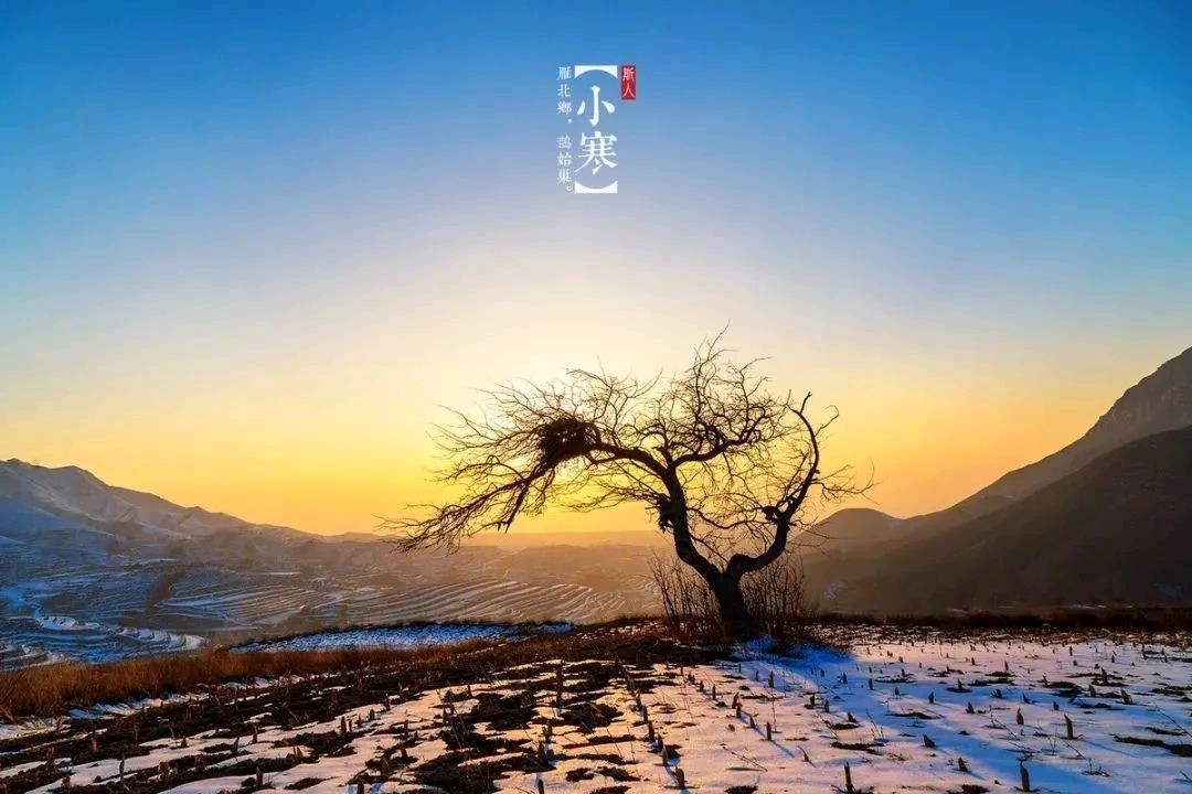 小寒即兴金夜（兰州）（图3）