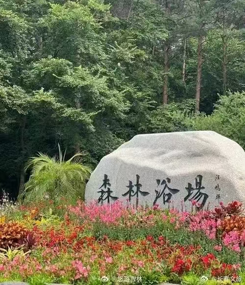 （叙事散文诗）净月潭：作者||丁培恭｜海外头条（图10）