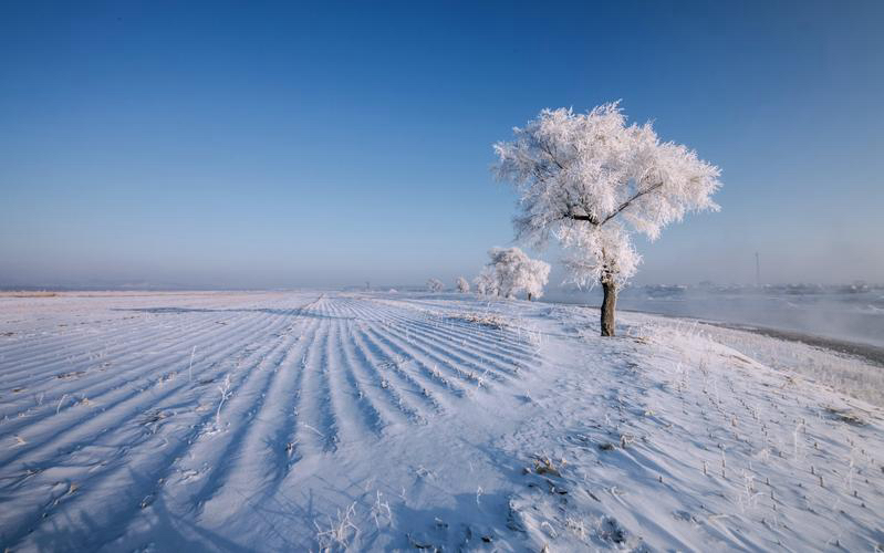 孙宝明 ：《冰雪胜境》及解析｜海外头条（图6）