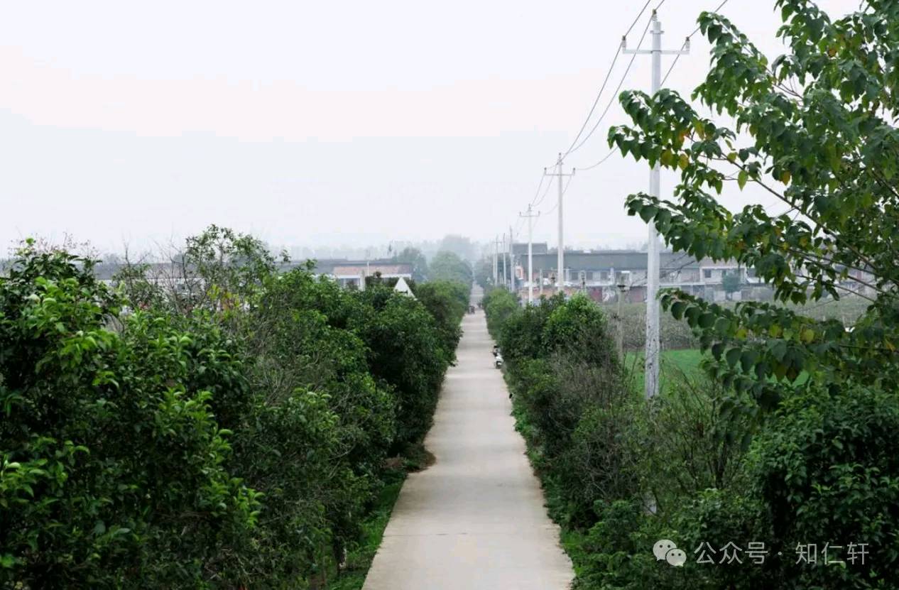 孙氏宗姓族谱•后记-文/孙安海-西银/北京头条(图4)