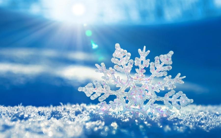 俞青稞：《冬至看雪花飞舞》海外头条（图5）
