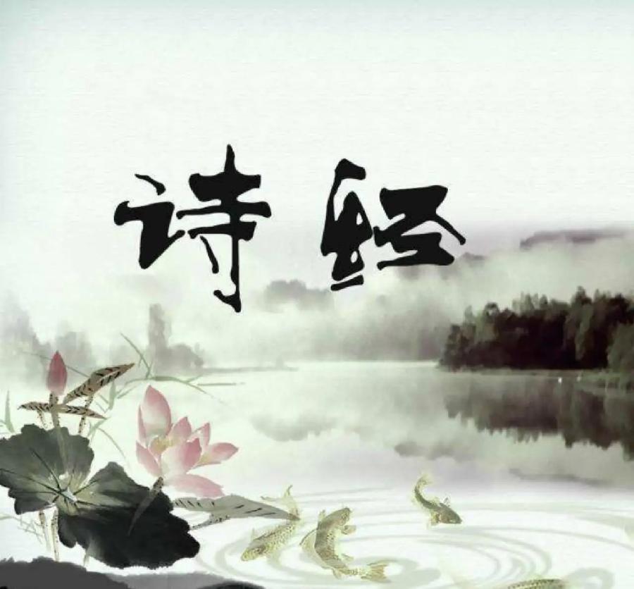 张辉：《向晚》海外头条（图5）