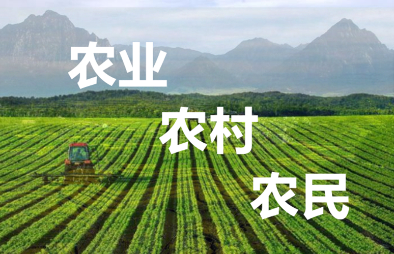 吕本怀：《也说三农》海外头条（图5）