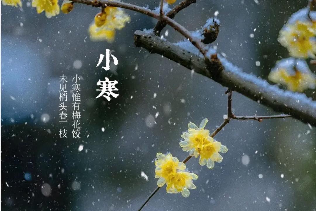 【新诗大观】小寒||文/张道发（图3）