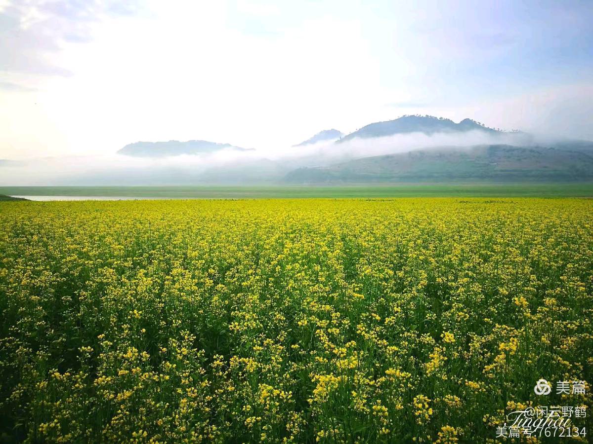 徒步旅游记之(赏花篇)(图30)