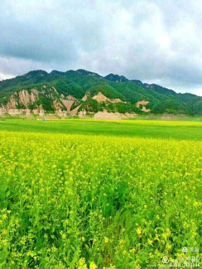 徒步旅游记之(赏花篇)(图36)