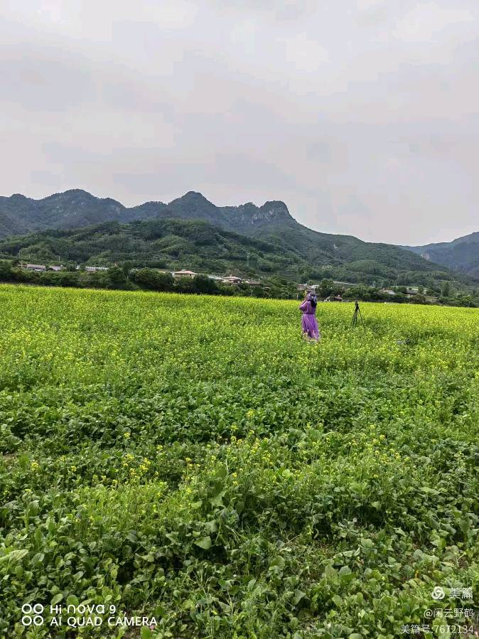 徒步旅游记之(赏花篇)(图39)