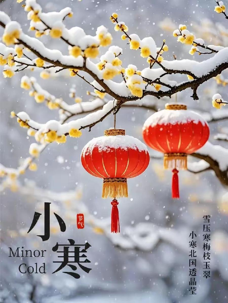 七律·甲辰小寒吟（文/邹晓华）……莲叶之珠文学社