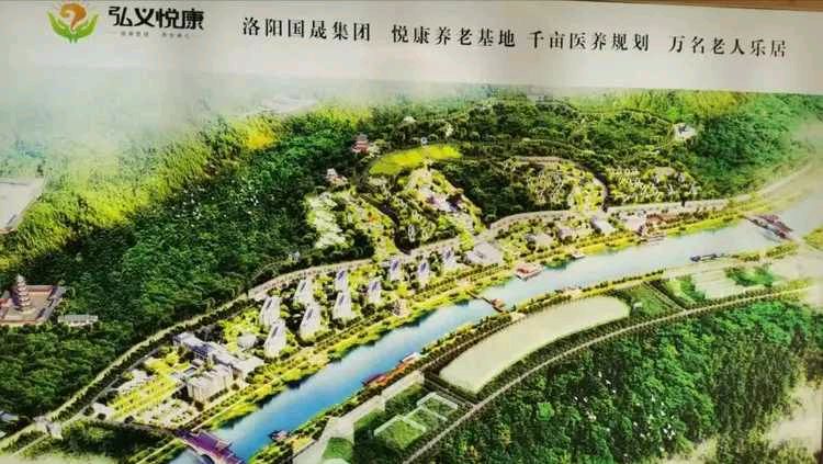 洛阳市文化产业促进会与弘义悦康养老战略合作签约仪式盛大举行（图16）