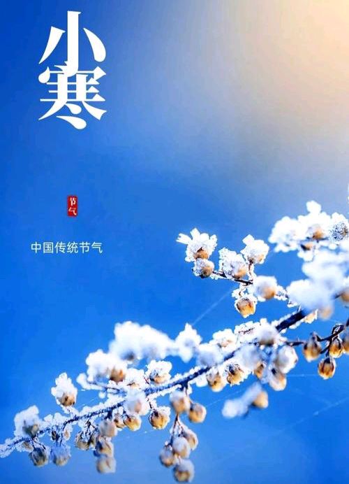 《知节气 迎小寒·二十四节气之小寒》文稿整理:强军/陕西宝鸡(图9)
