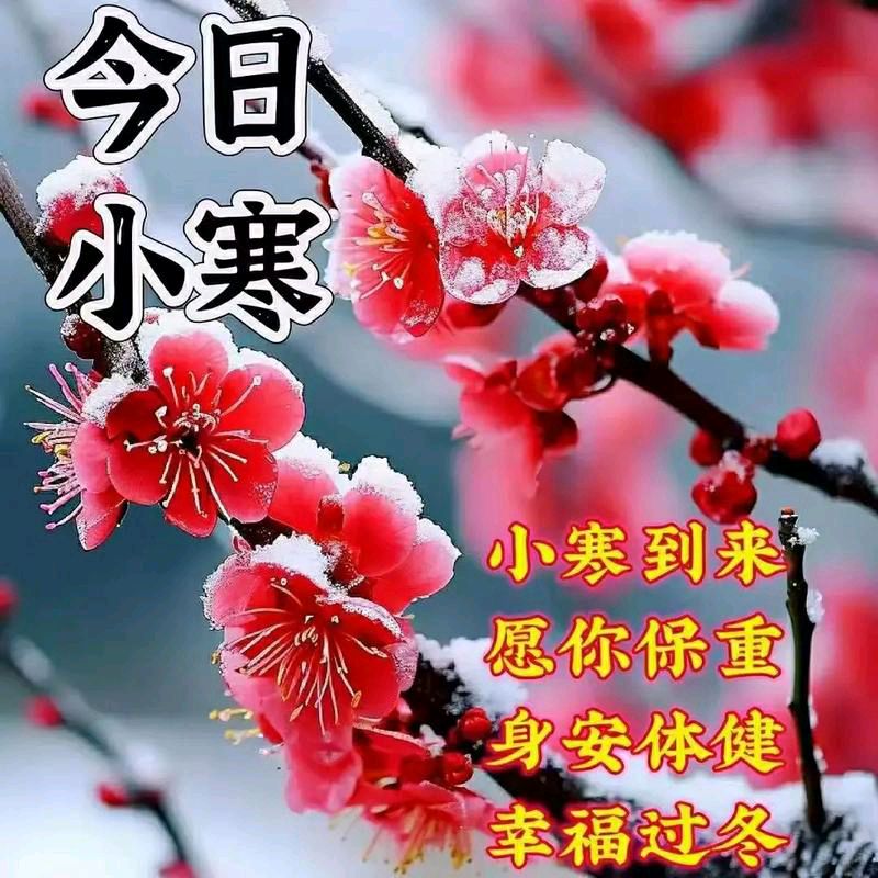 《知节气 迎小寒·二十四节气之小寒》文稿整理:强军/陕西宝鸡(图8)