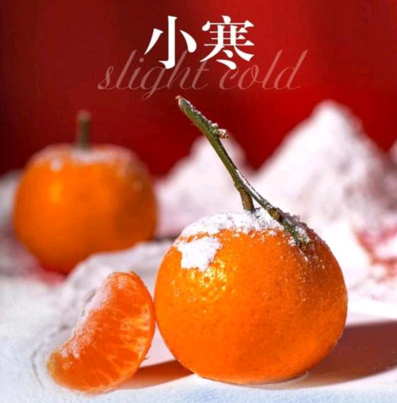 《知节气 迎小寒·二十四节气之小寒》文稿整理:强军/陕西宝鸡(图13)