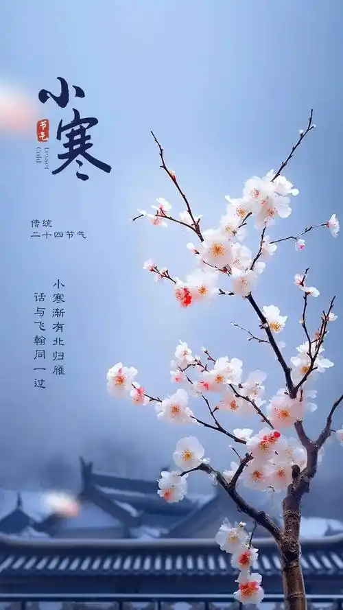 小寒节气‖巴彦诗词楹联协会【820】（图3）