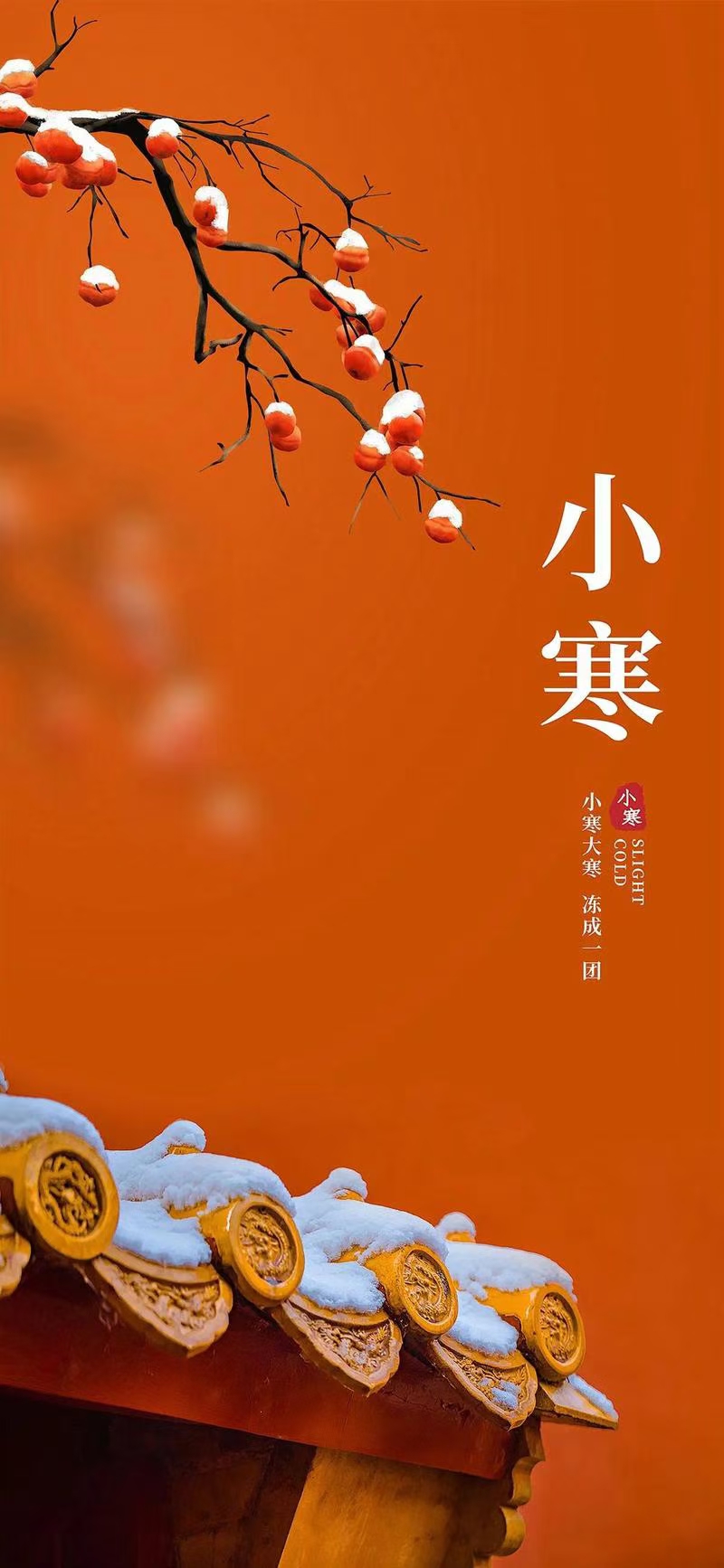 七律·甲辰小寒（文/冯清明）……莲叶之珠文学社（图4）