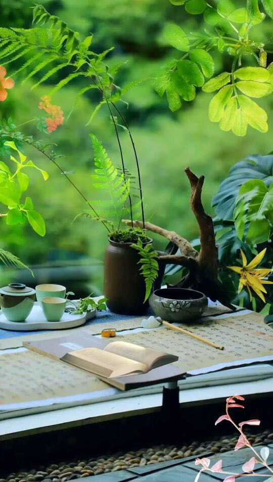 个个（日本）：《错俳成排幸逢春》海外头条（图5）