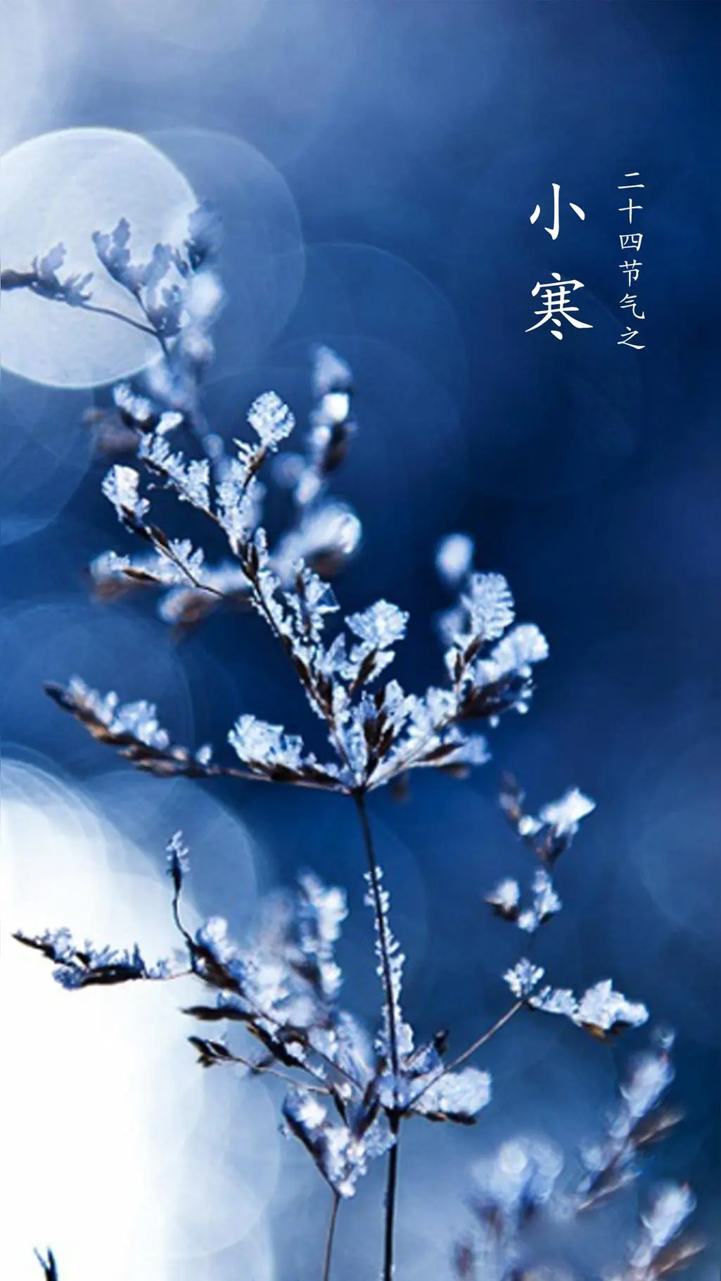甲辰年小寒节气格律诗词合集/中华诗艺社黑龙江分社【2025第010期】（图13）
