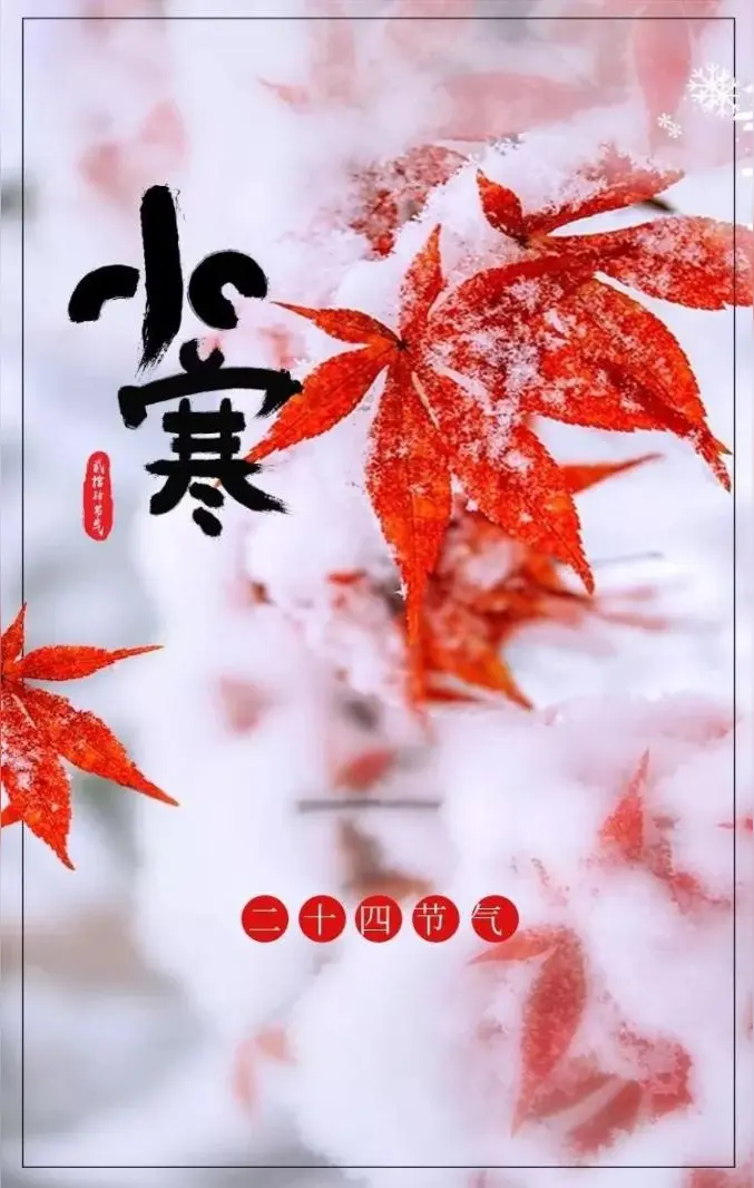 甲辰年小寒节气格律诗词合集/中华诗艺社黑龙江分社【2025第010期】（图5）