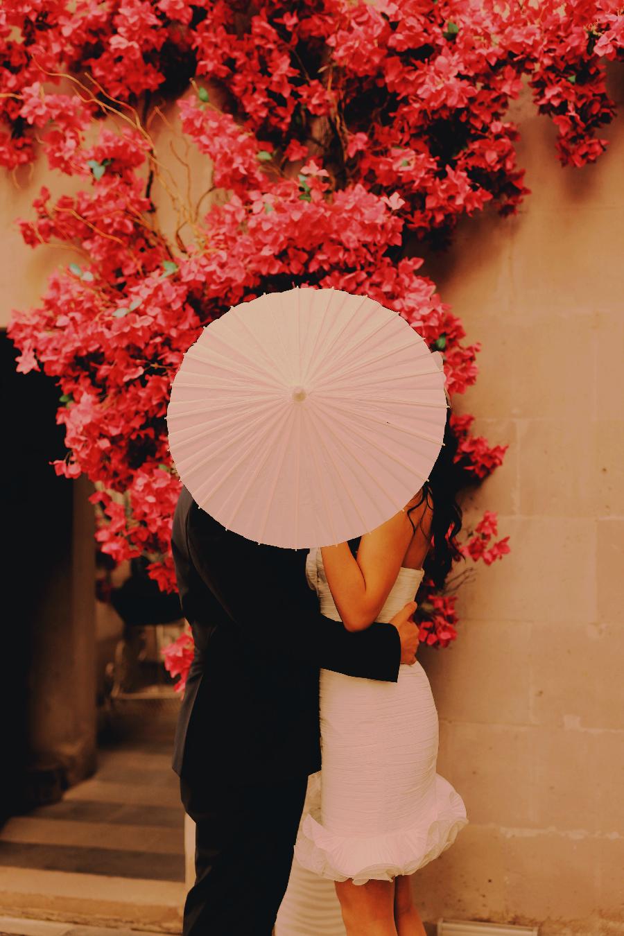 许愿，从春天出发//作者/鲁妮 诵读/老菩提（图11）