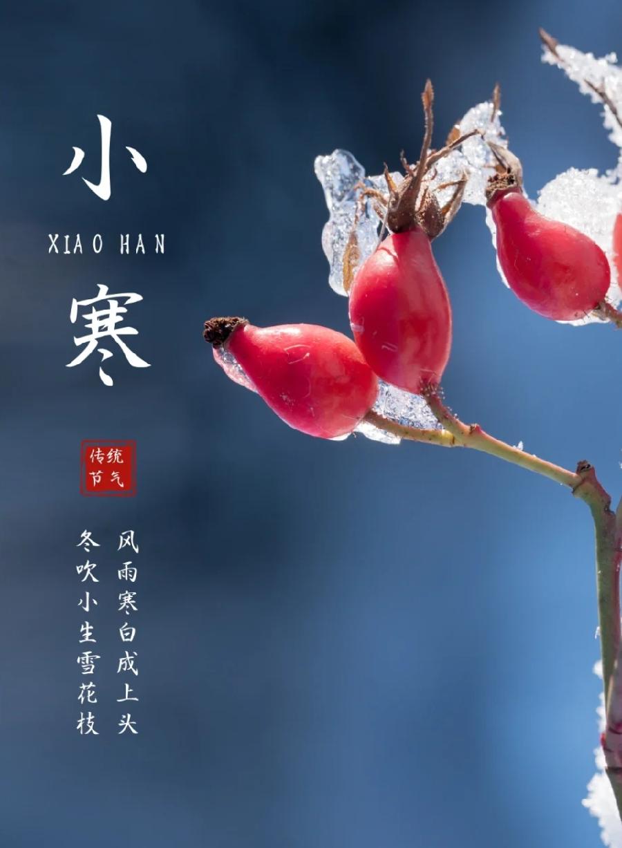 小寒/潘毅（图2）