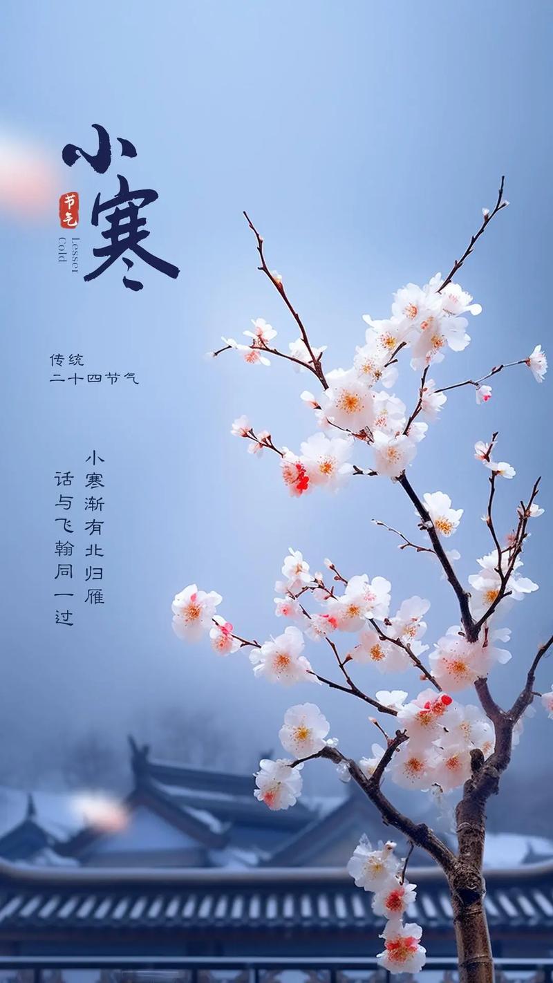 小寒/潘毅