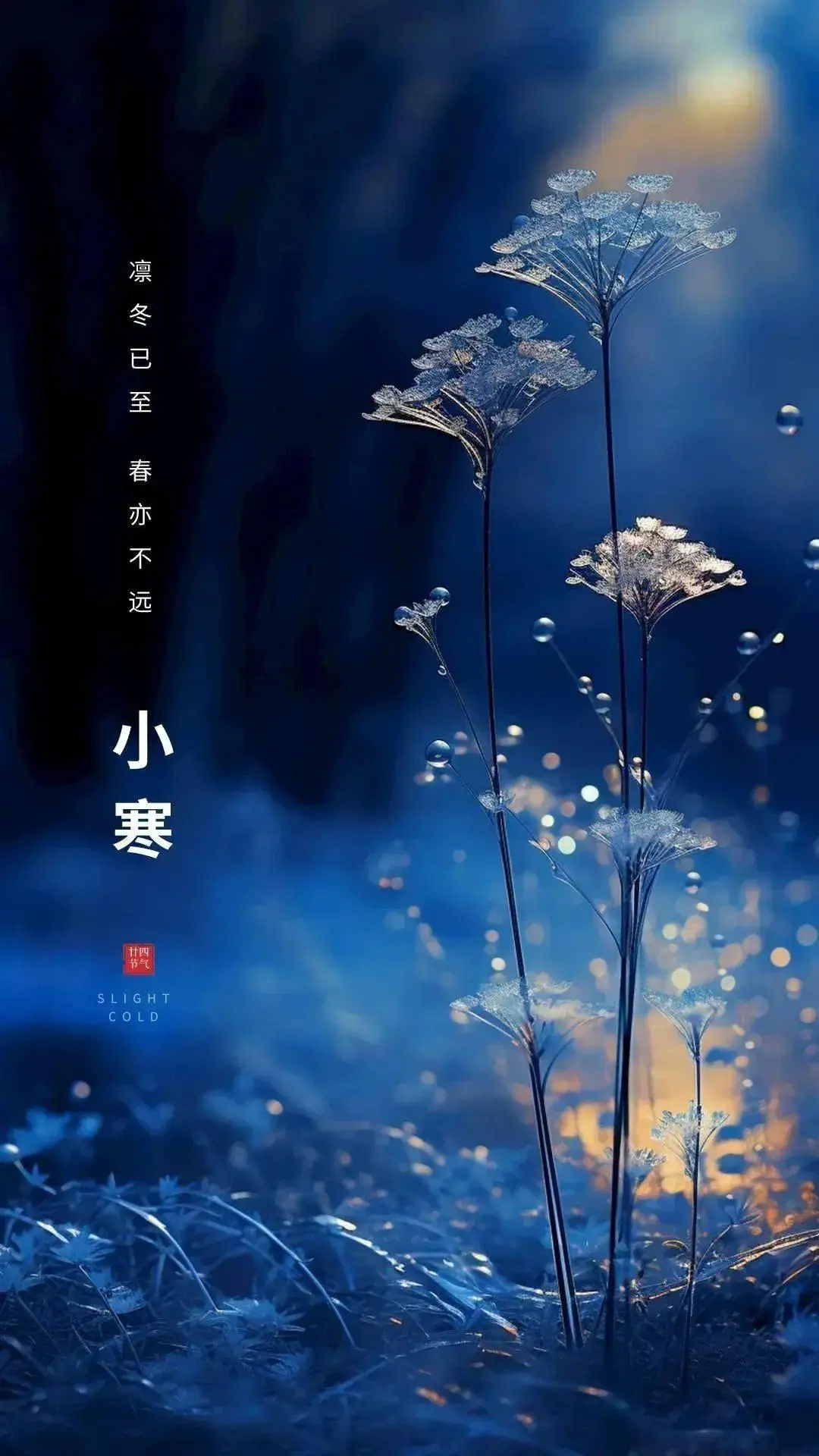 小寒/潘毅（图4）