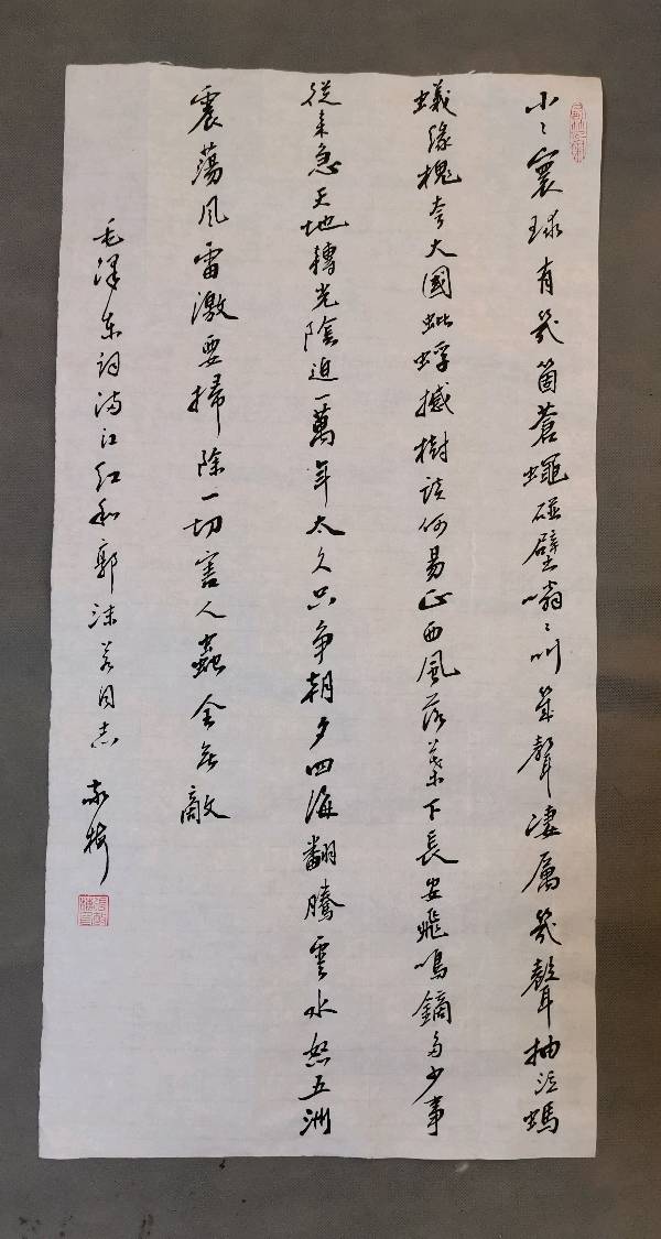 书写毛主席诗词条幅一组张敬梅（竹影横窗）（图4）