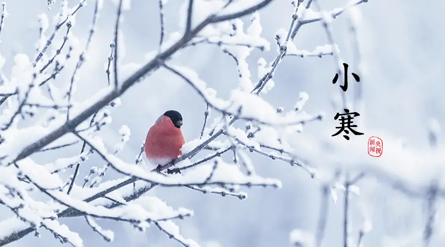 红色文化传媒诗歌精典042期(图14)