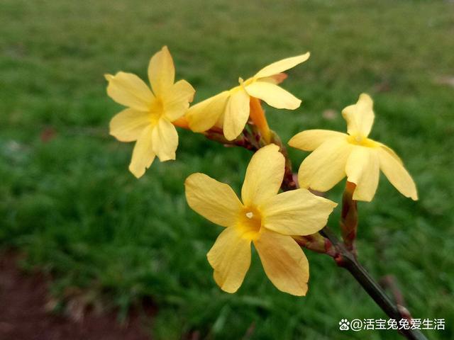 红色文化传媒诗歌精典042期(图23)