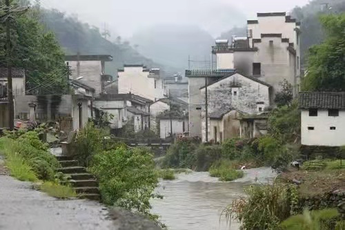 汪志成：《乡愁》朗诵：琪琪~海外头条（图7）