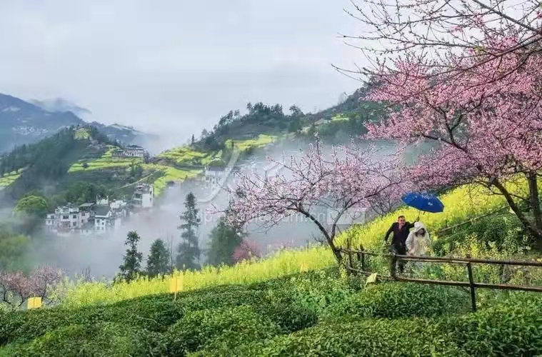 汪志成：《乡愁》朗诵：琪琪~海外头条（图6）