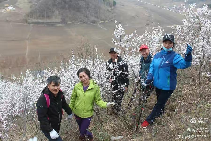 徒步旅游记之（赏花篇）（图16）