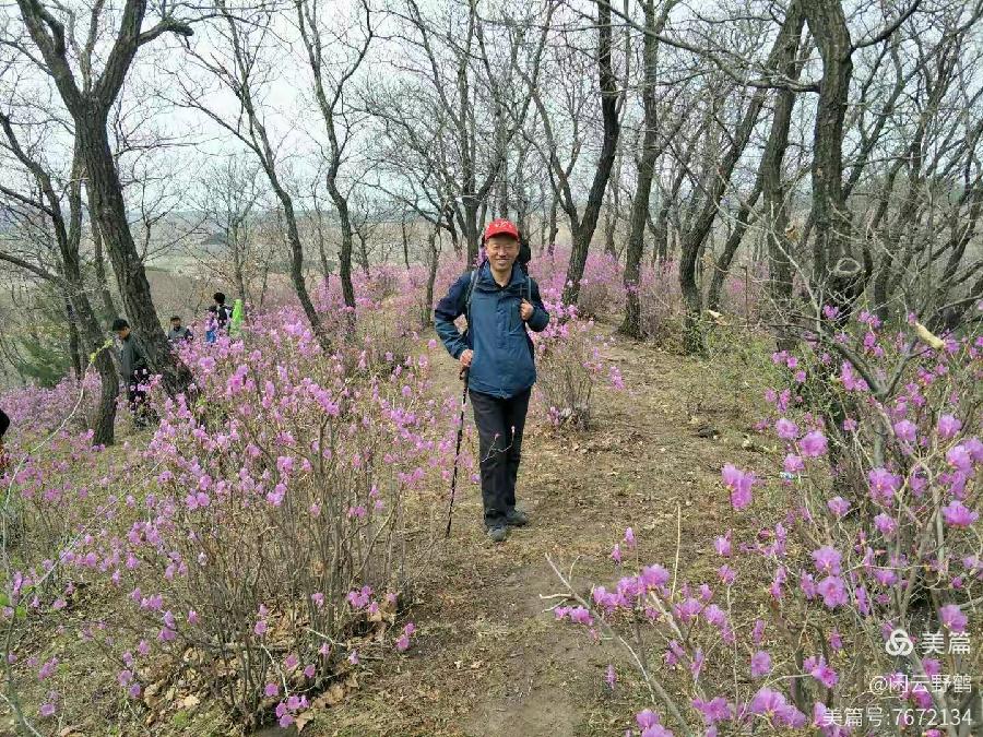 徒步旅游记之(赏花篇)(图20)