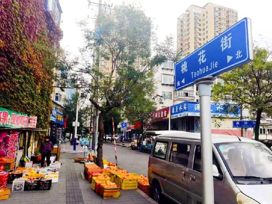 【新山东文学社】《烟台桃花街往昔》作者/王建生 主播/红叶(图5)