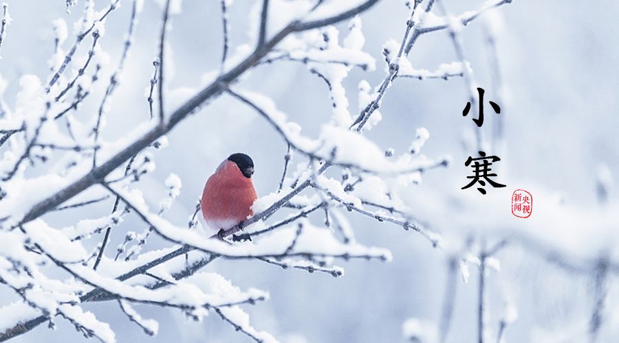 推荐丨许日辉先生 七绝 小寒节/腊八节寄怀共24首（图4）