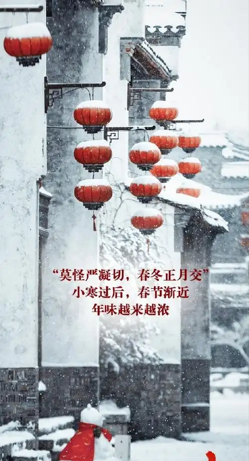 【新山东文学社】《七律.冬令情怀(外一首)》作者/王建群 主播/海豚(图6)